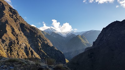 Photos of Tsoy Pede