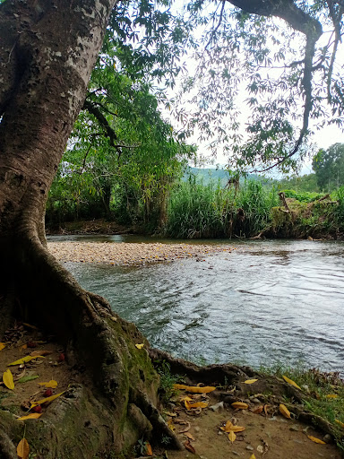 Río naba - Visual