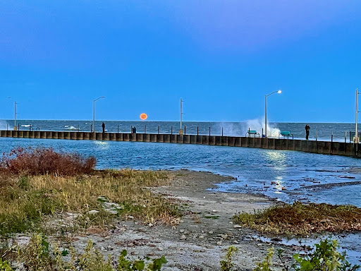 Luna Pier Lighthouse Gallery - United States