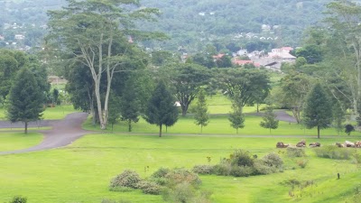 Photos of Wisata Hutan Pinus Dan Pemandian Air Panas
