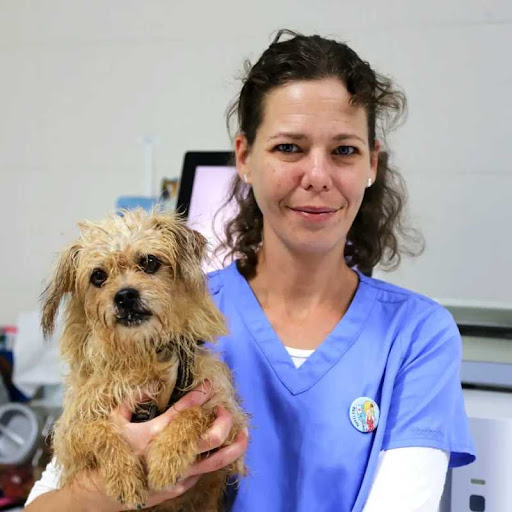 Clínica Veterinària Son Ferrer C.B.