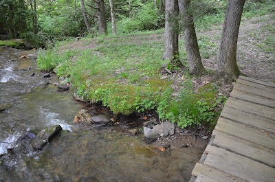 Panther Creek Cabins