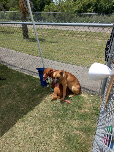 Galveston County Animal Services