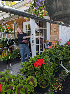 MX Morningstar Farm by null