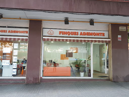 Finques Ademonte - Visual