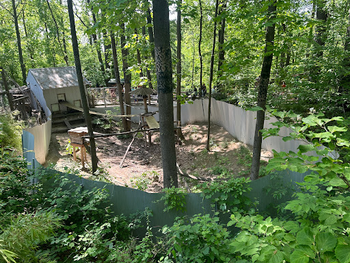 John Ball Zoo - Idema Forest Realm - Thumbnail