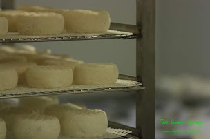 Photo n°18 de Les Chévres de Conat à Conat (Ferme)