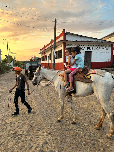 Abarrotes Yayani - Thumbnail