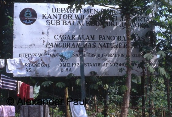 Badan Lingkungan Hidup Taman Hutan Raya Depok, Author: Alexander Paul