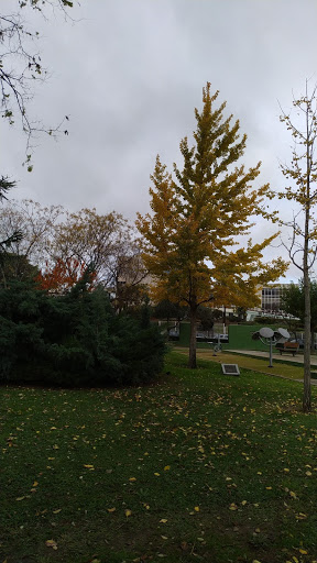 Parque Multicultural - Visual