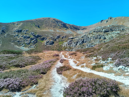 Senda acceso lago Ausente