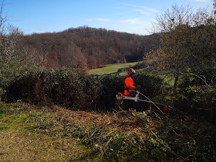 Photo n°8 de Arbo'Tony'Haut à Puybegon (Jardinier)