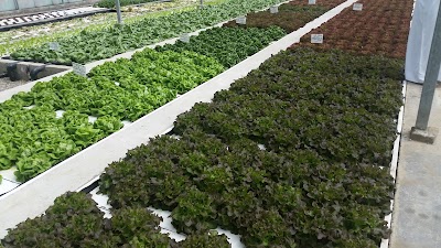 Photos of Mirak Trading LLC