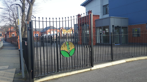 Springfield Primary School - Visual