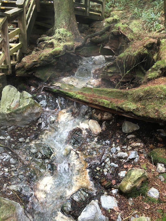 Hot Springs Cove