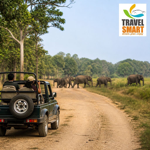 Experience the thrill of the jungle with Mysore to Bandipur Mudumalai wildlife tour packages from… post image