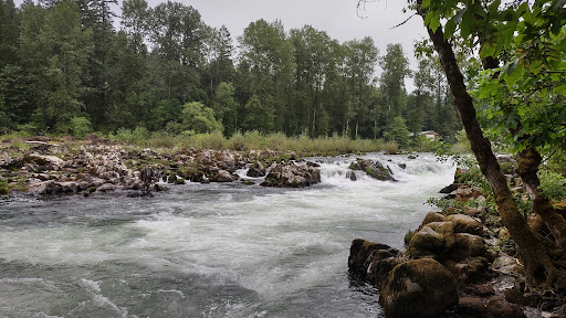 Waterloo falls - Visual