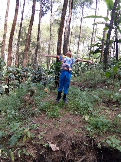 Photos of Makam Umum Desa Klampok Dusun Prodo Sumbul