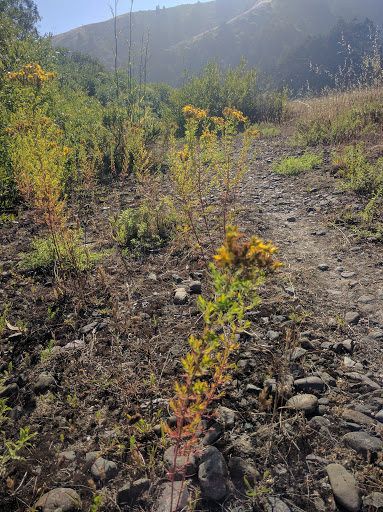Willow Creek Environmental Campground - Thumbnail