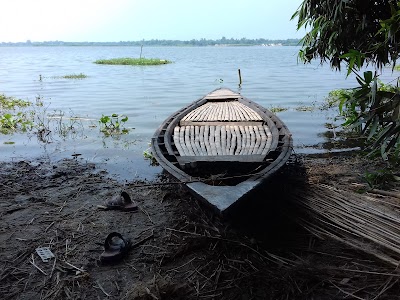 Photos of Beel