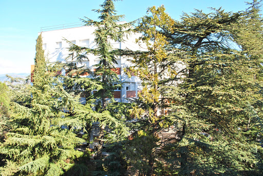 Colegio Virgen Almudena