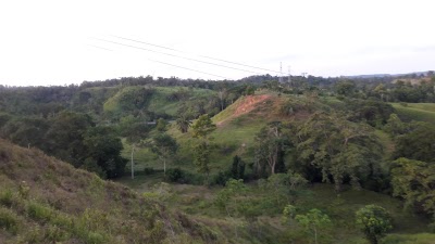 Photos of Planta Meril&eacute;ctrica