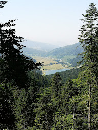 Photo n°9 de Riding trott à Campan (Centre de sports d'aventure)