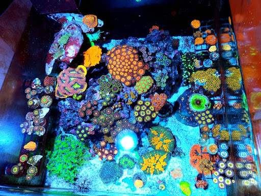 Mermark Aquarium Services - Thumbnail