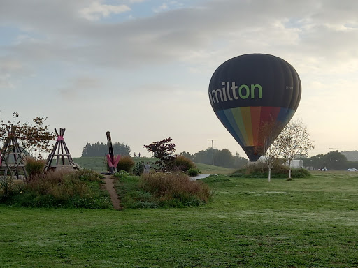 Mangaiti Park Recreation Reserve - Thumbnail
