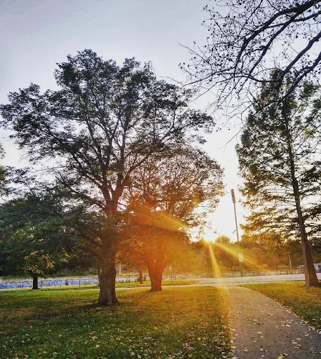 Willmore Park - Thumbnail