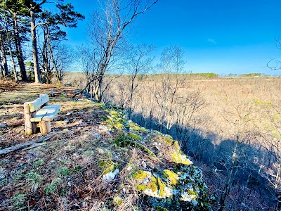 The Lookout