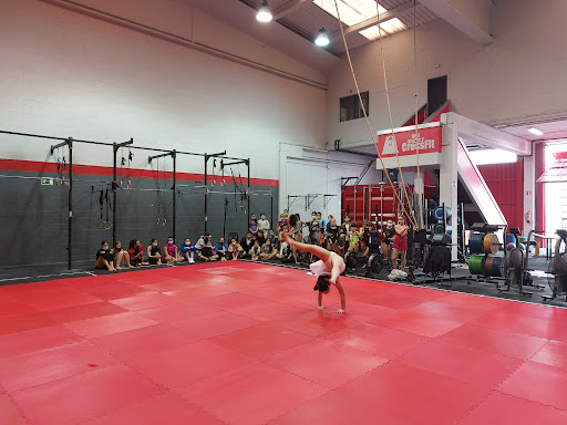 Red Grizzly Crossfit