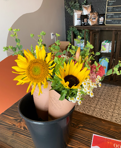 Storm Coffee Co. Gallery - United States