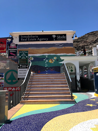 Sibelle Properties of the Canary Islands