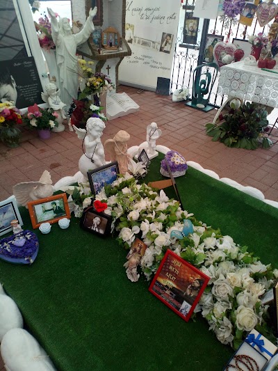 Photos of The Tose Proeski Memorial House