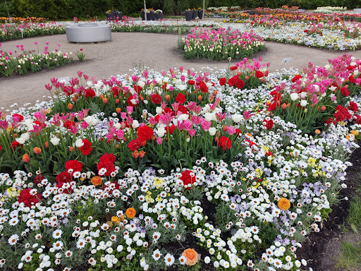 Blumenarena - Visual