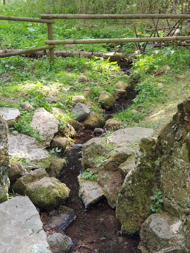 Lütterquelle - Visual