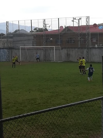 stadium