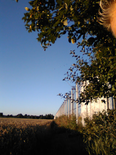 Den Ouden Paprika - Thumbnail