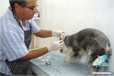 Photos of Woohoo! Beauty Room Canina - Preventive Medicine