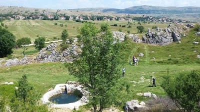 Photos of P.E.D.ZAVELIM.