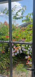 Photo n°10 de Le Colibri d'Yeu à L'Île-d'Yeu (Maison de vacances)