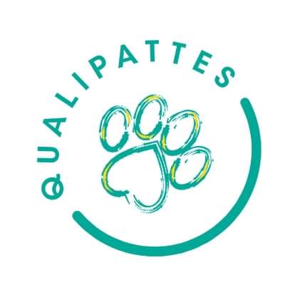 Qualipattes - Thumbnail