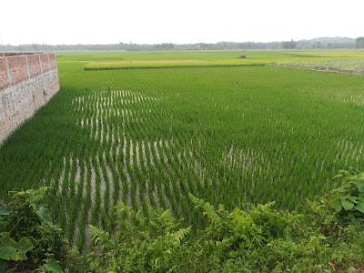 Photos of Banshkhali Eco Park