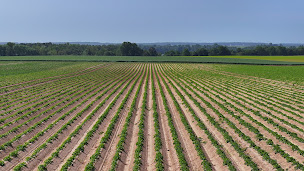 Photo n°2 de Drone Media Contrôle à Gilocourt (Média)