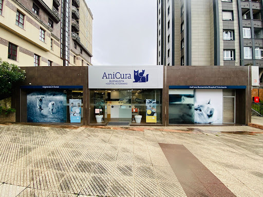 AniCura Buenavista Hospital Veterinario