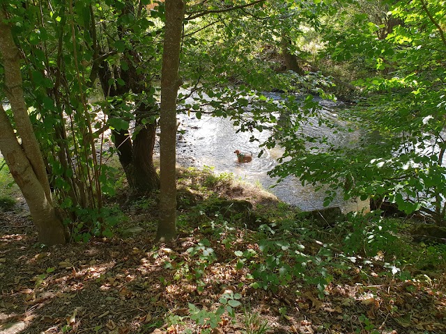 La grotte aux lucioles