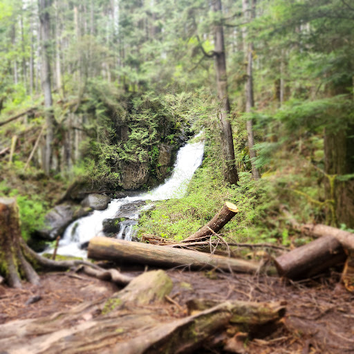 Steelhead Falls View Point - Thumbnail