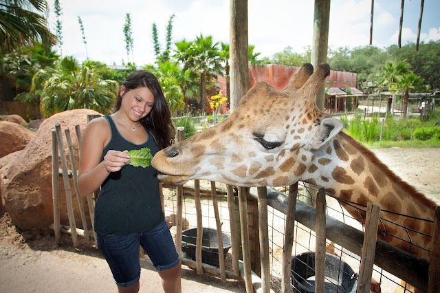 ZooTampa at Lowry Park