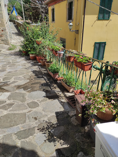 Alimentari Orlandi Gallery - Italy